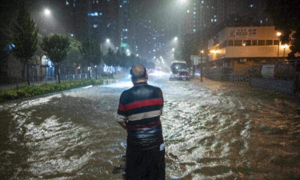 Hong Kong Selden Korunma Stratejisini Geliştirdi Hong Kong Selden Korunma Stratejisini Geliştirdi